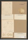 Campylodiscus daemelianus Grun. (de-Toni-Nr.: Genus 57, Species 2454) Zeichnungen Sammlung Grunow Nr. 4941 (NHMW-BOT-W0373155)